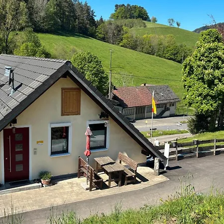 公寓 Talblick Kirnbach (Wolfach)