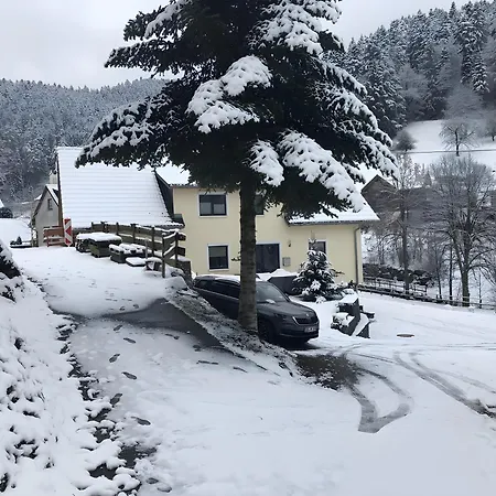 Lejlighed Talblick Kirnbach (Wolfach)